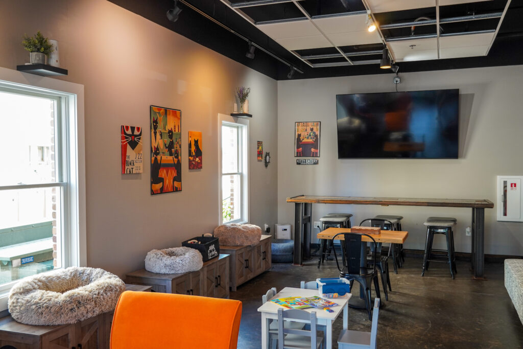 cat play area with cat beds, chairs and seating