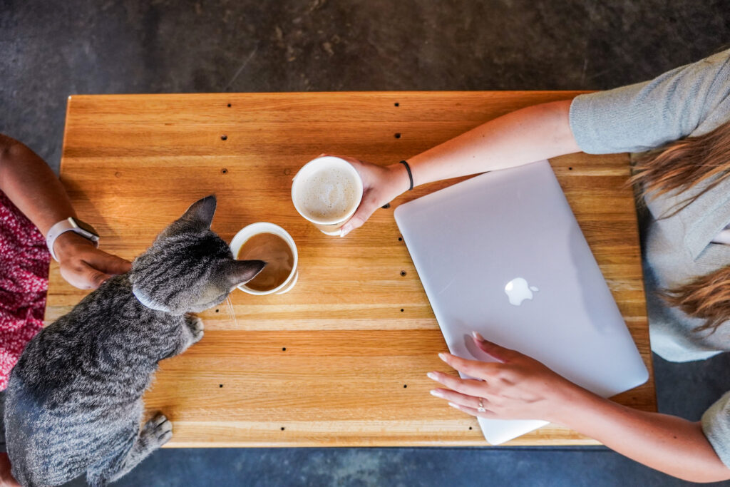 two people sitting at a table with a laptop, a cup of coffee and a cat