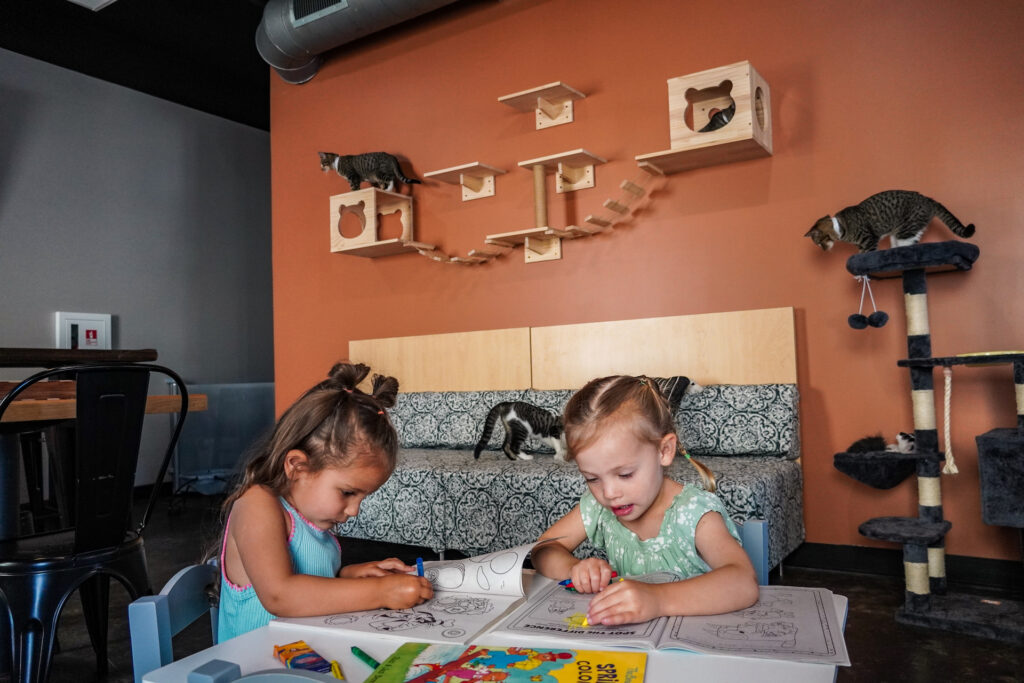 two girls sitting at a coloring table while the cats play behind them